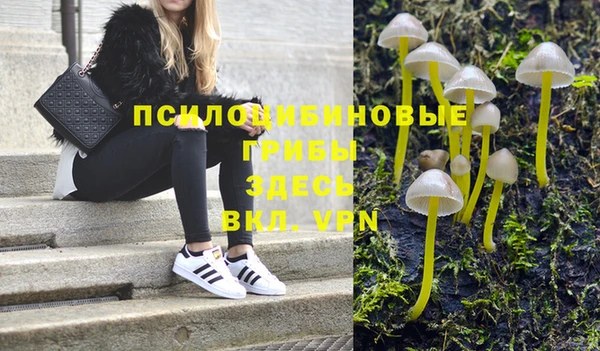ПСИЛОЦИБИНОВЫЕ ГРИБЫ Краснослободск