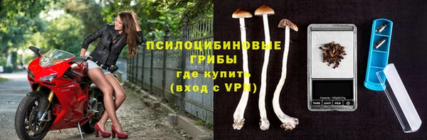 ECSTASY Красноперекопск