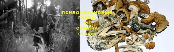 эйфоретик Краснотурьинск